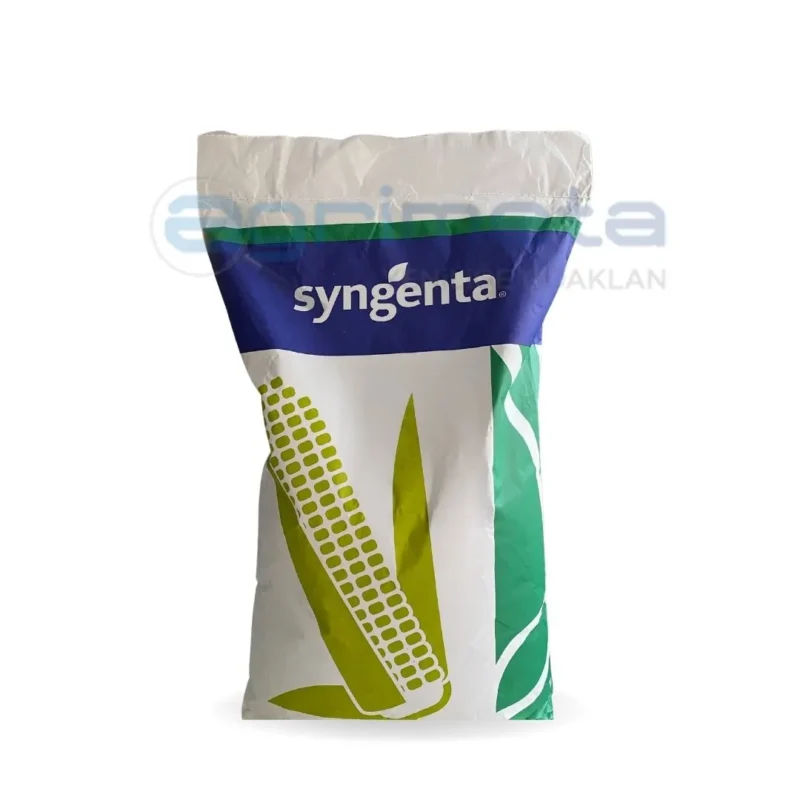 Syngenta Mısır Tohumu
