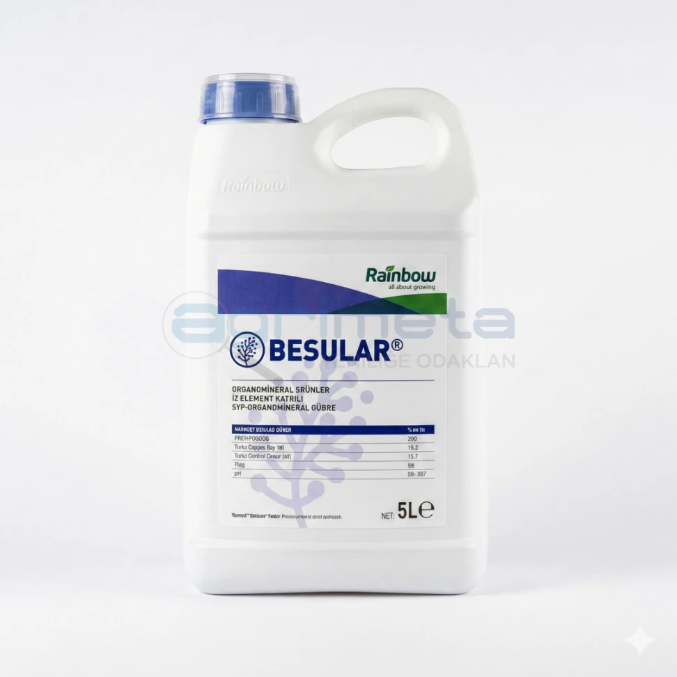 besular besular