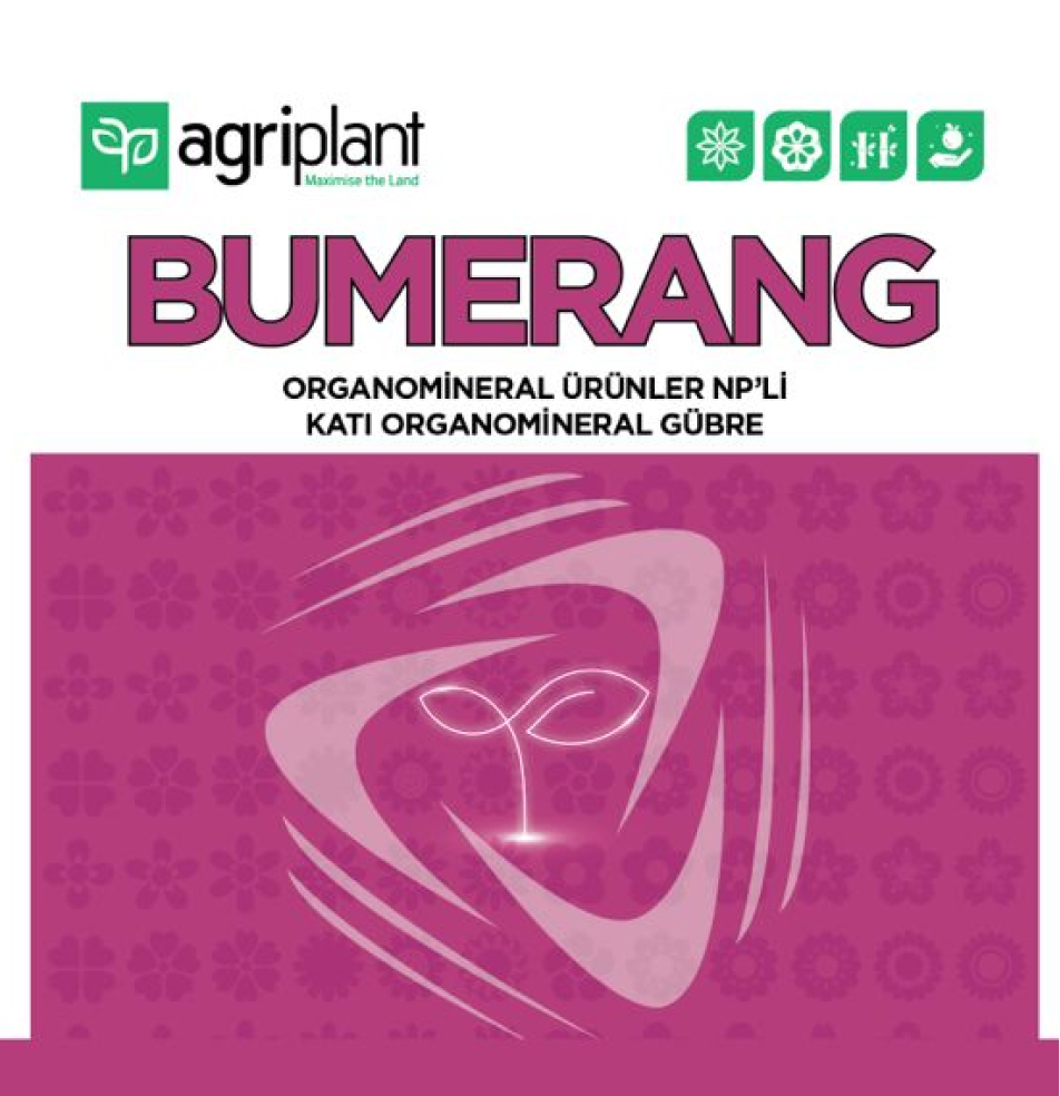 bumerang-1