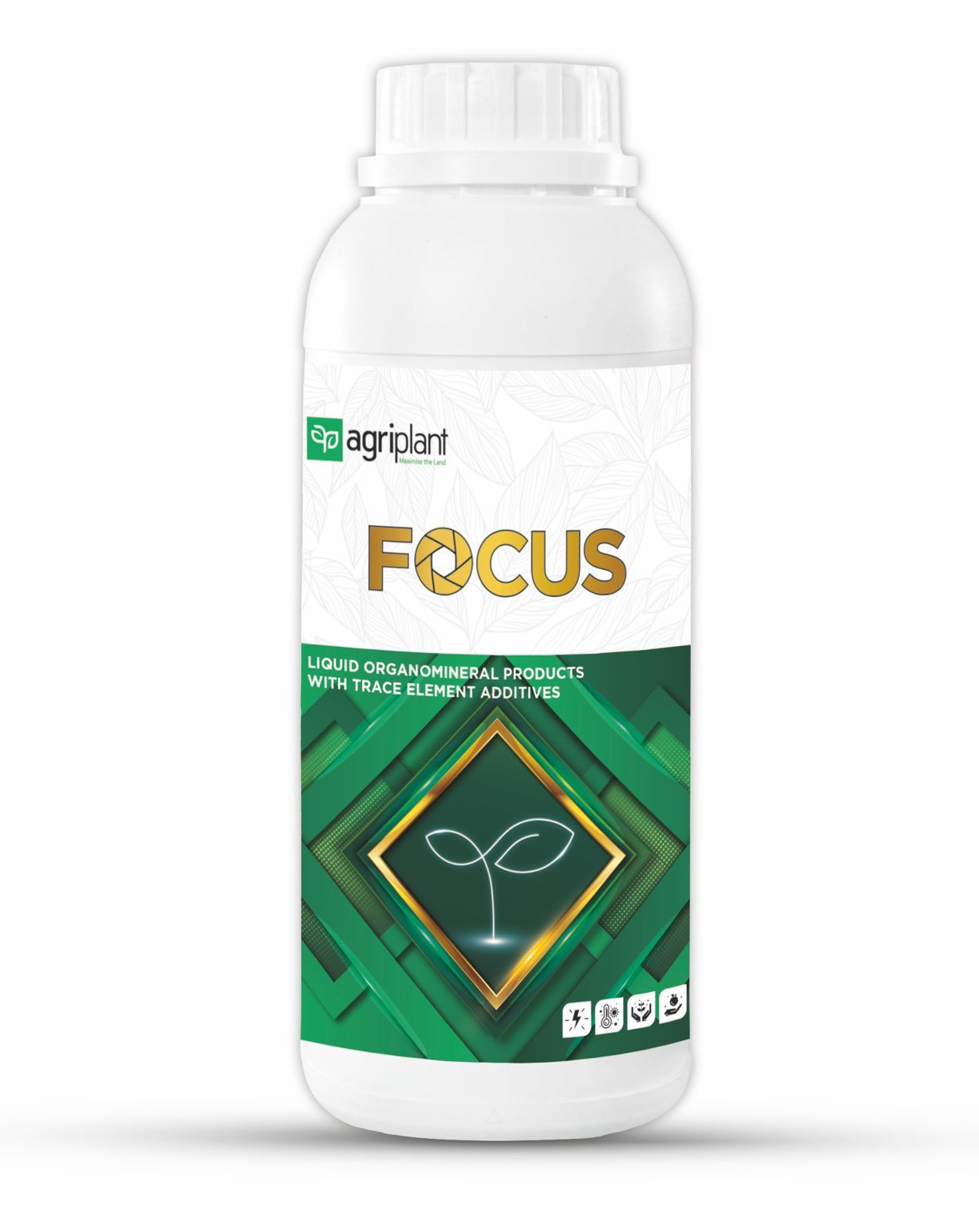 focus-1