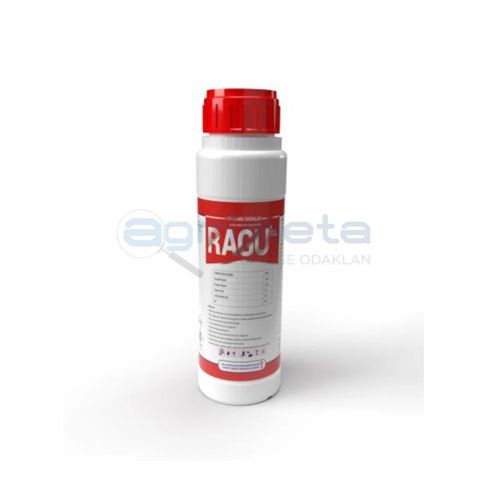 ragu-xxl 1