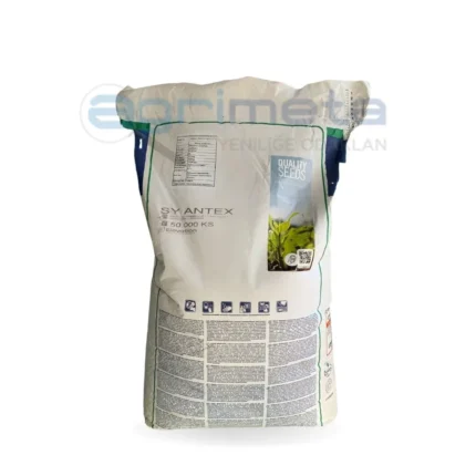 Syngenta Antex Mısır Tohumu